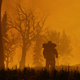 Illustration for article titled iFallout 76/i Players Are Punishing People They Suspect Of Duplicating Rare Itemsem/em